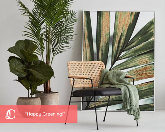 How to Style Indoor Plants Like a Pro: Placement & Potting Tips