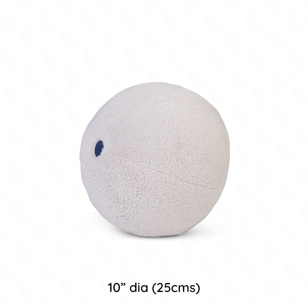 Bard’s Cushion Cover Set of 3