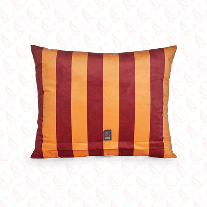 Be Bold Cushion Cover