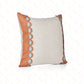 Modern Stylish cushion cover